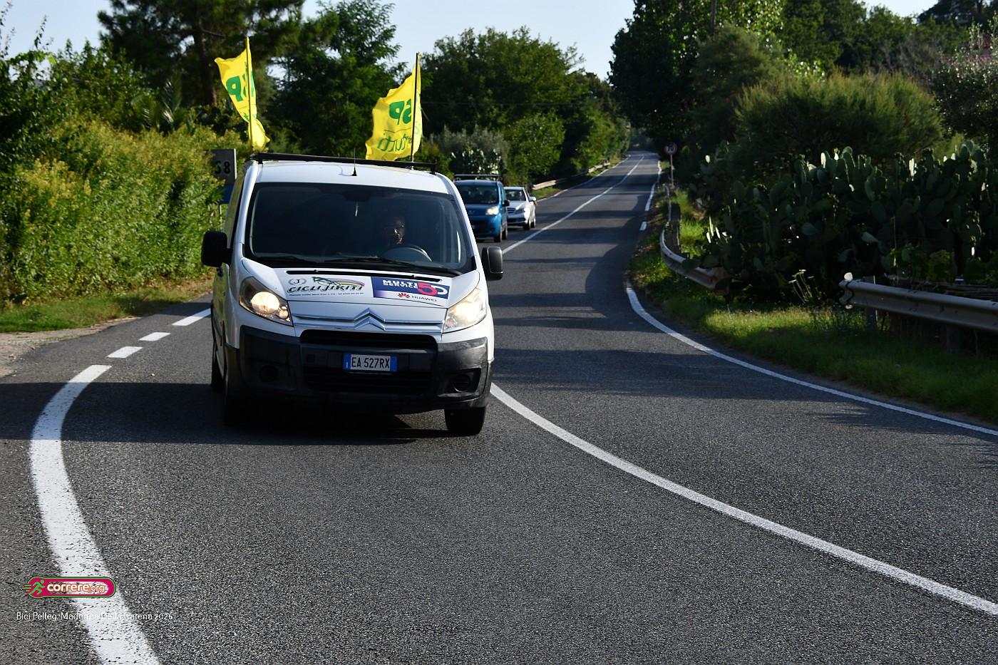 DSC_5989