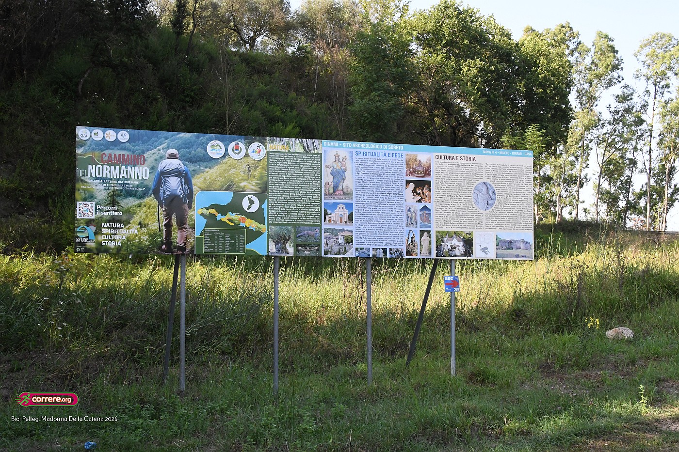 DSC_6170