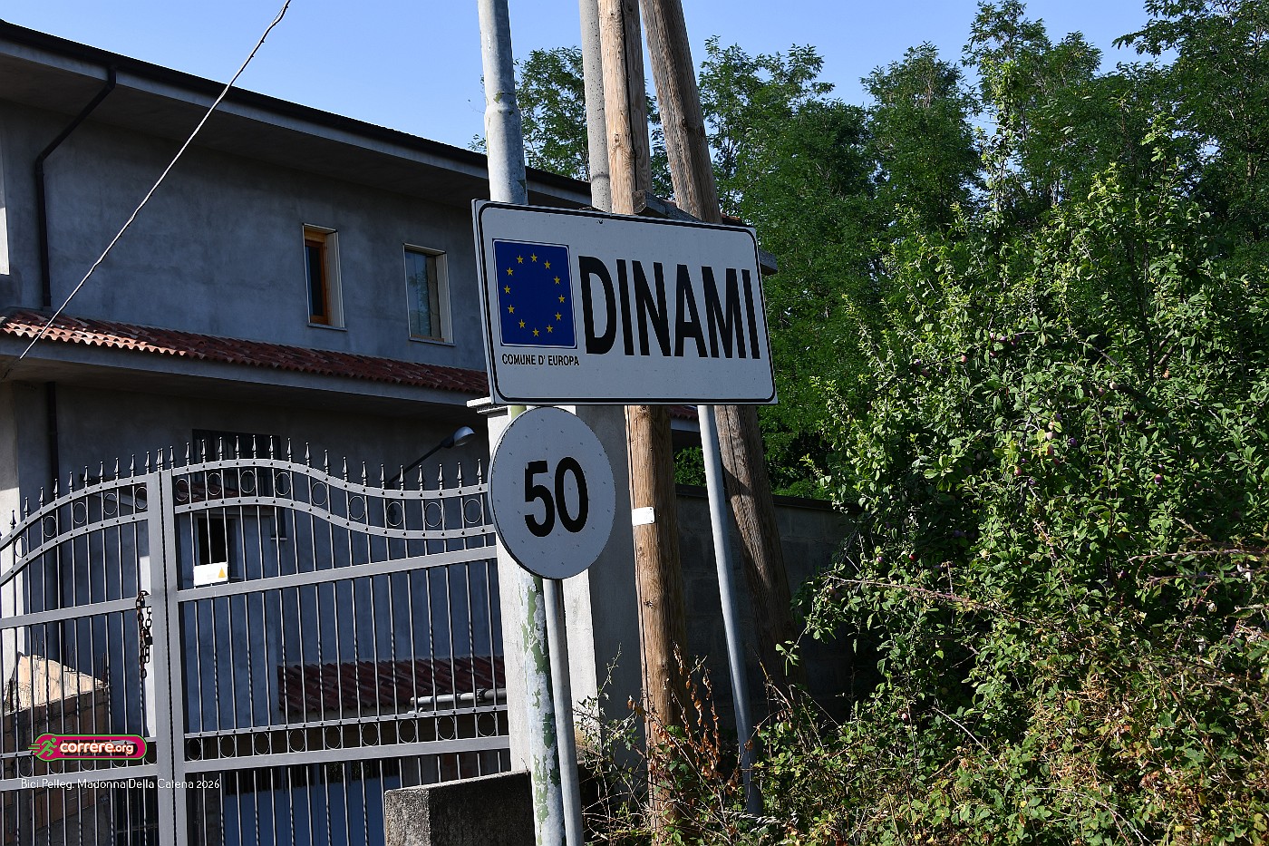 DSC_6278