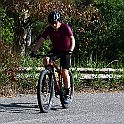 DSC_6205
