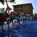 DSC_4864