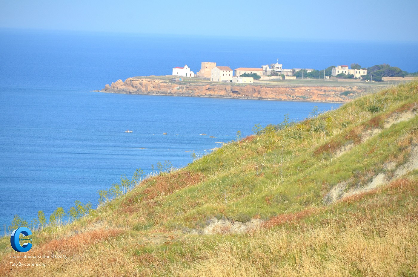 DSC_6890