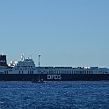 DSC_6229