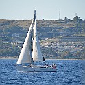 DSC_6310