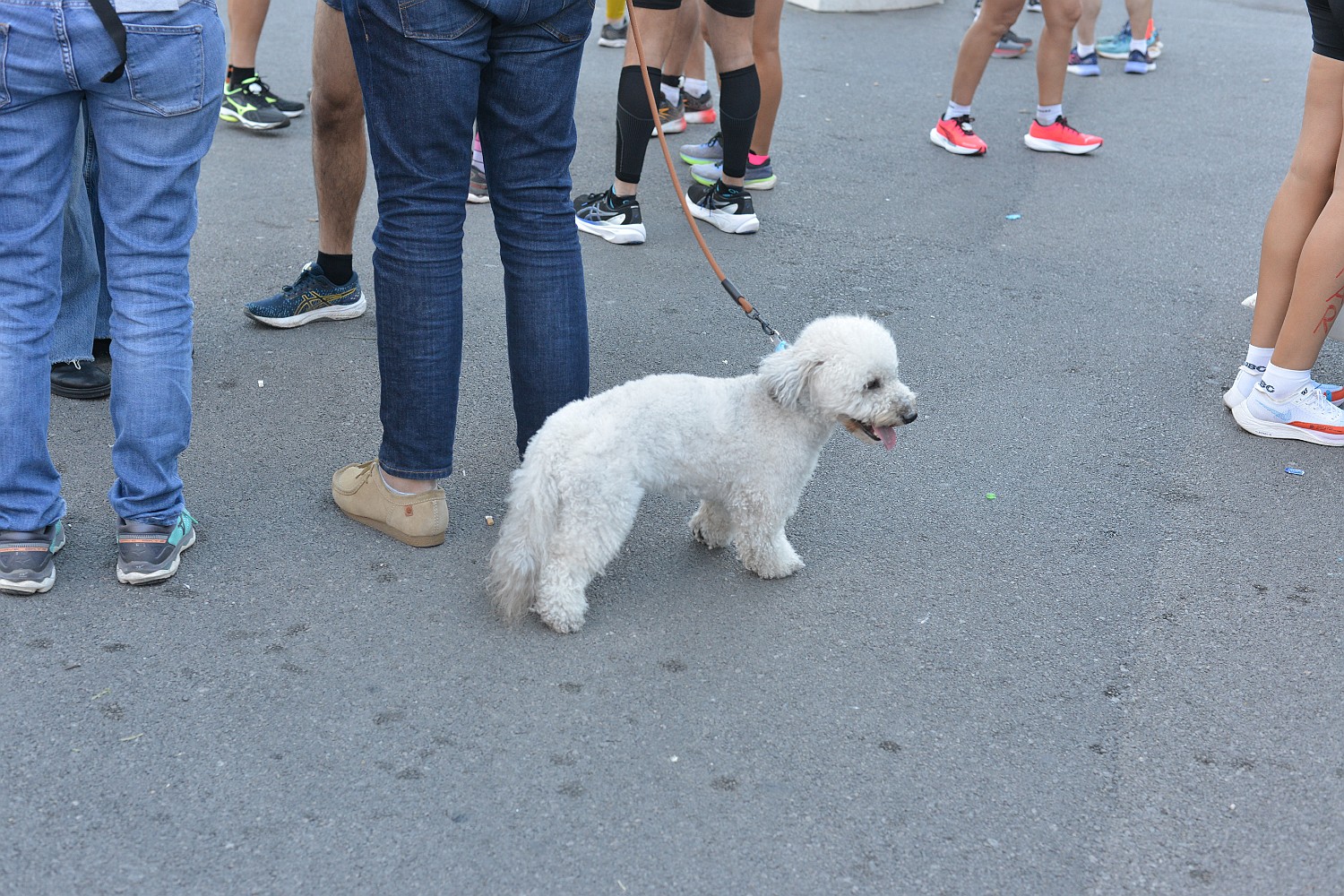 DSC_7635