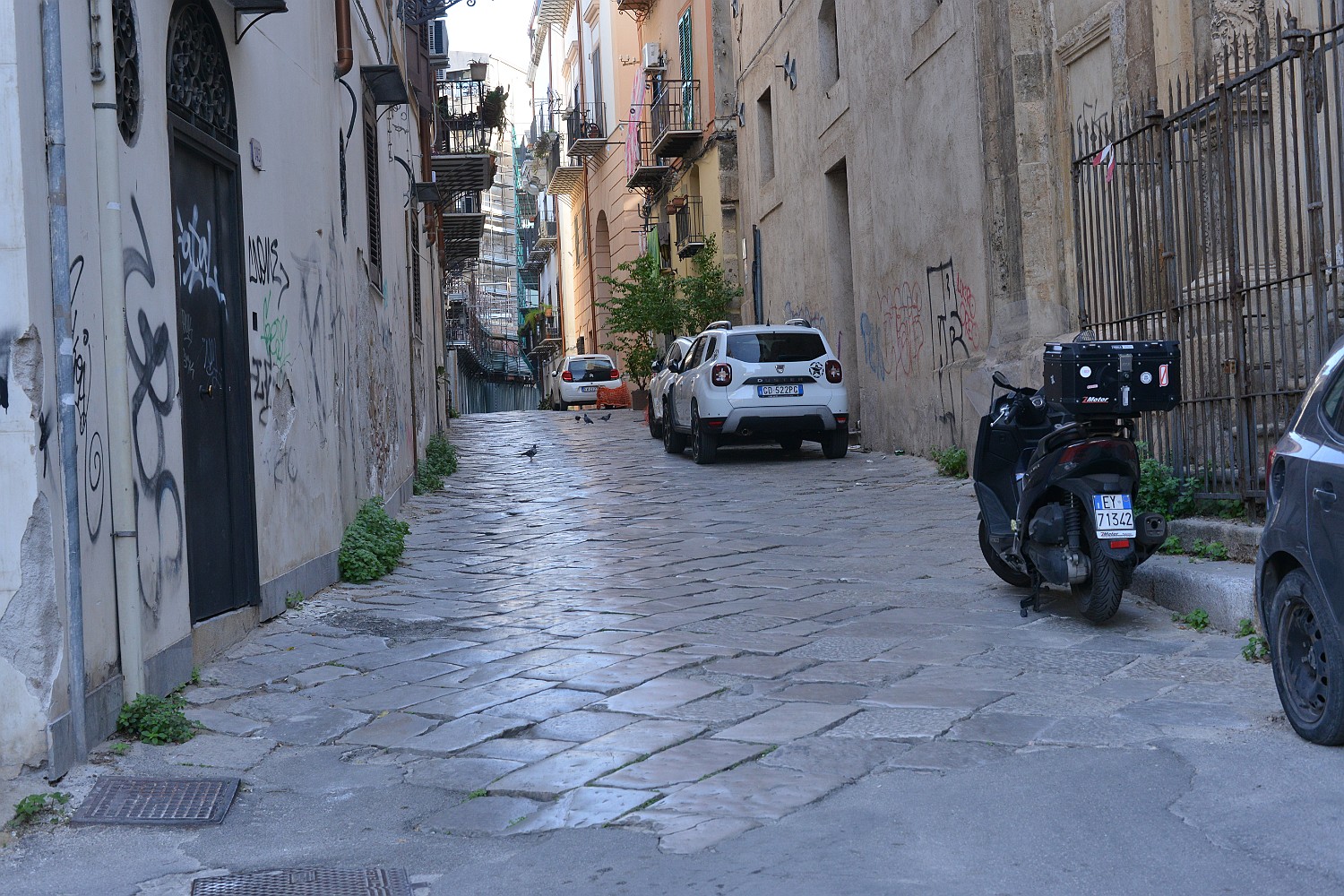DSC_7674