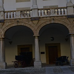 DSC_7688