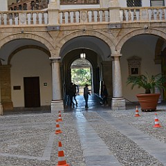 DSC_8686