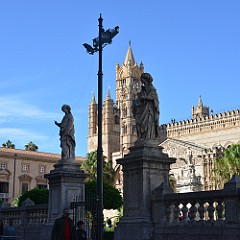 DSC_8750
