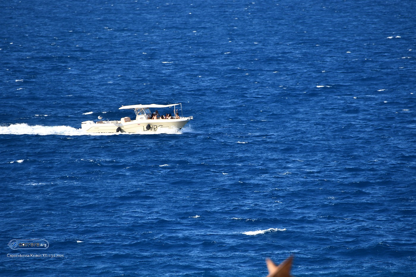 DSC_5195