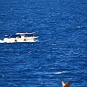 DSC_5195
