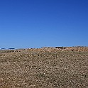 DSC_5207