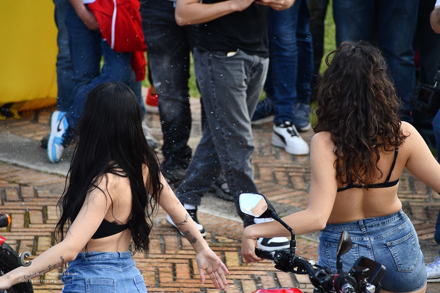 DSC_1342