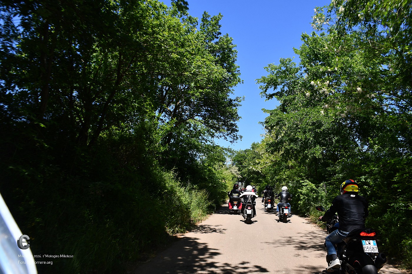DSC_1838