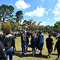 DSC_1278