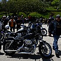 DSC_1662