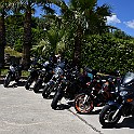 DSC_1667