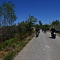 DSC_1833
