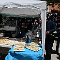 DSC_1849