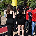DSC_2012