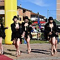 DSC_2233