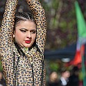 DSC_2295