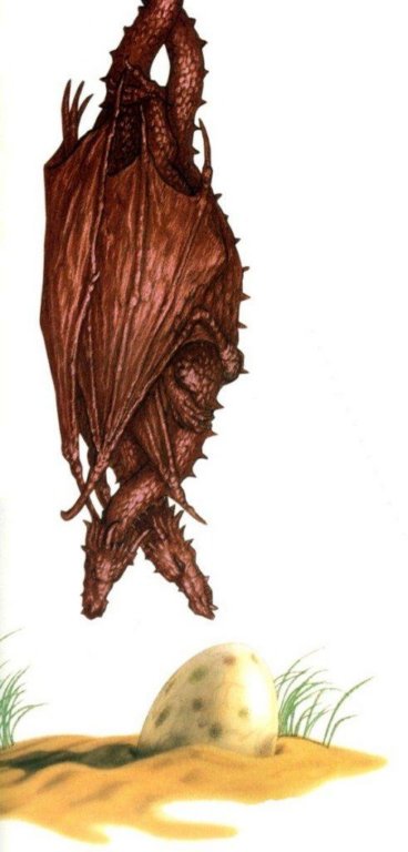 photo20.jpg