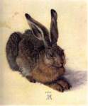 durer15germanyaquarellegouachelelievreviennealbe63d_small.jpg