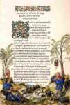 durer15germanyenluminuregouachelidylliadetheocri996_small.jpg