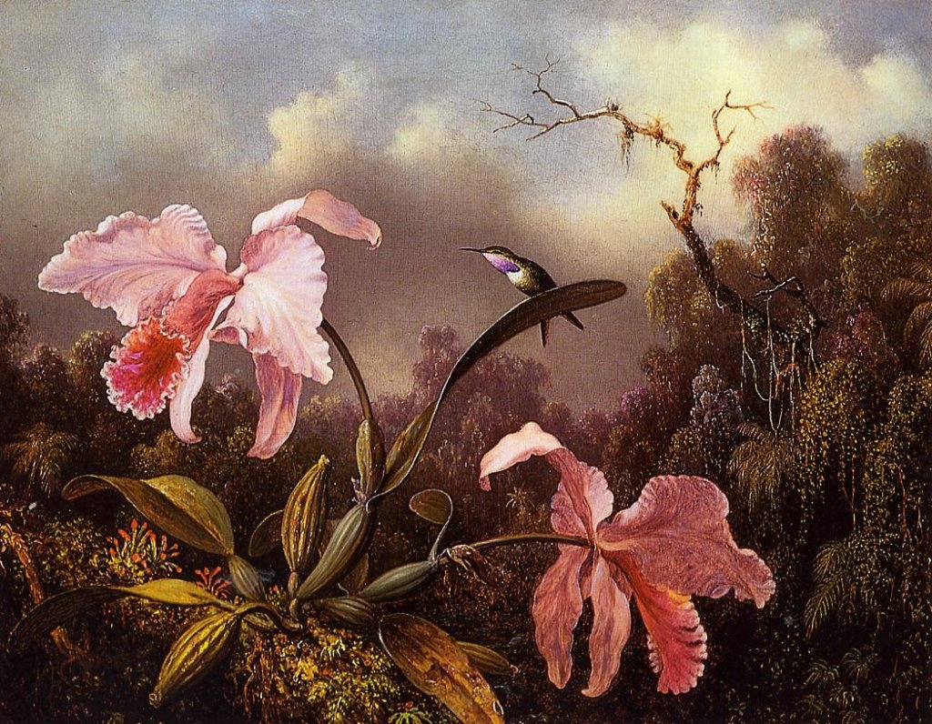 orchidsandhummingbird1.jpg