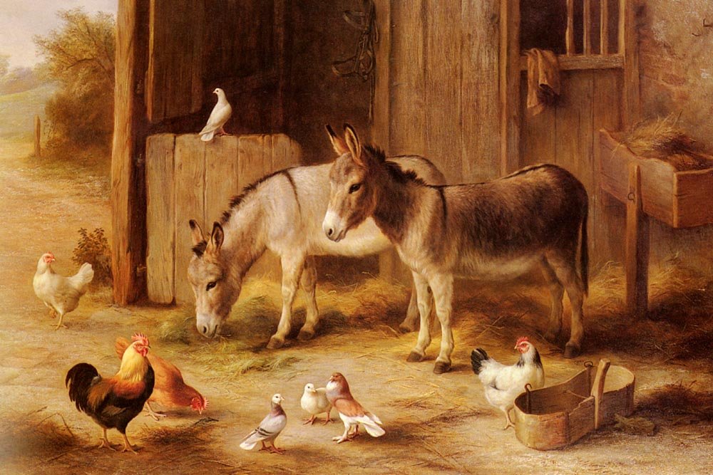 farmyardfriends.jpg