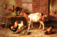 goatandchickensfeedinginacottageinterior_small.jpg