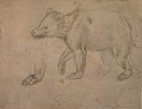 abearwalking_small.jpg