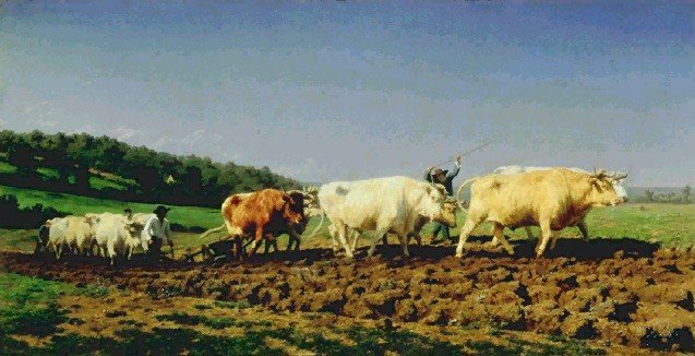 rosabonheur.jpg
