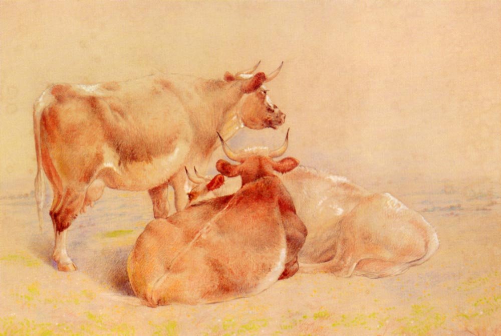 cattleresting2.jpg