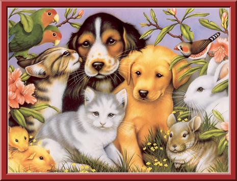 Baby_Animal_Buddies