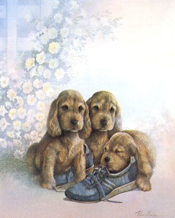 Puppies-09