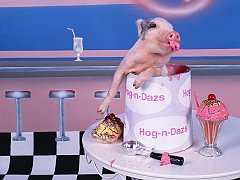 Hog-n-Dazs