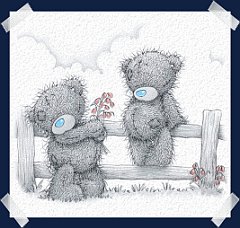 tatty_teddy_019