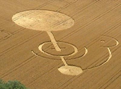 cerchi_nel_grano_2