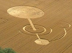 cerchi_nel_grano_2