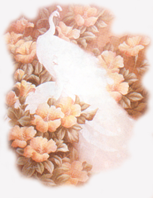 Bird-03