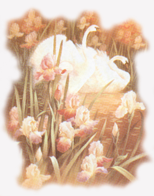 Bird-04