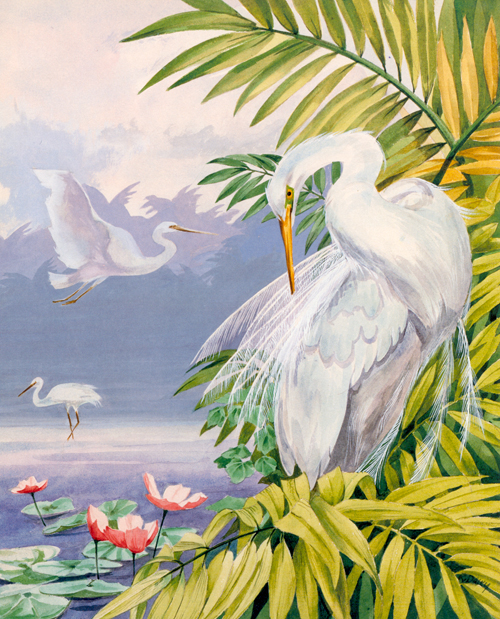 Bird-05
