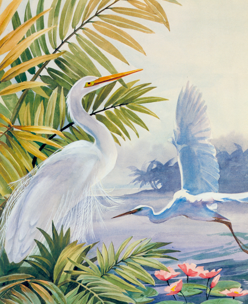 Bird-06