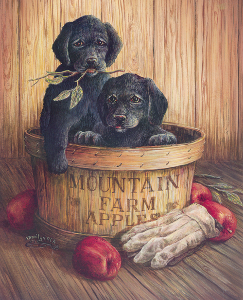 Puppies-06