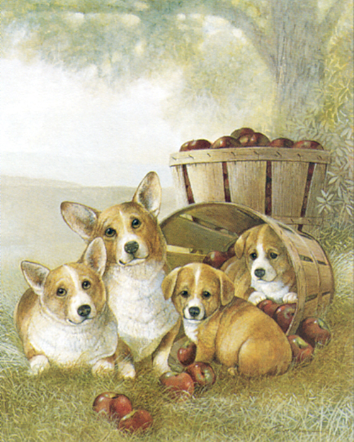 Puppies-07