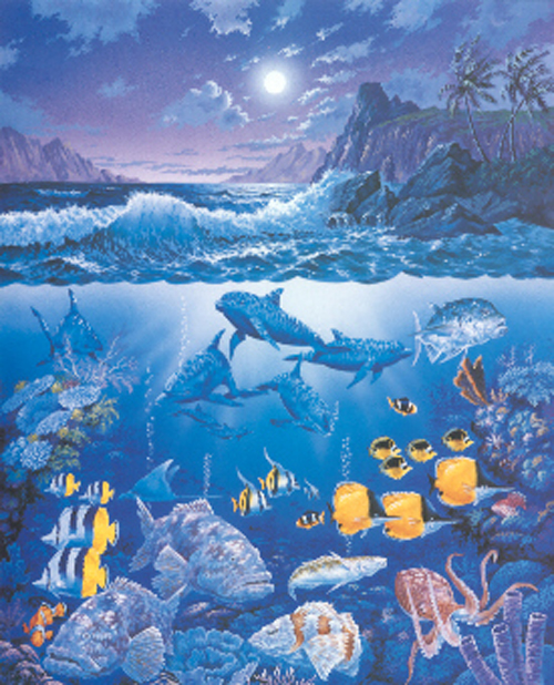 Sea-01