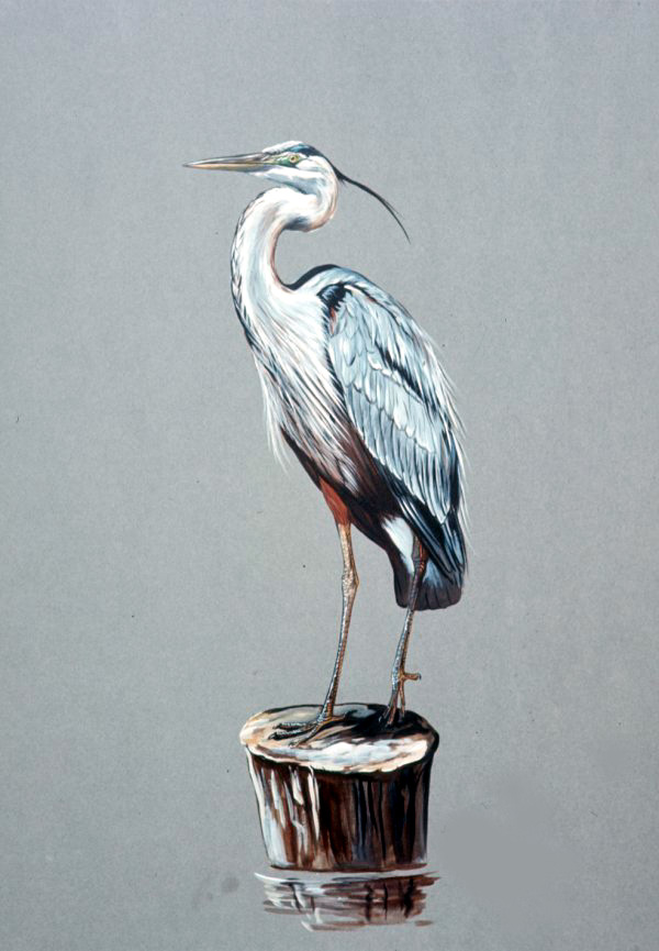 heron1971