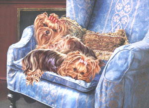 lap-of-luxury